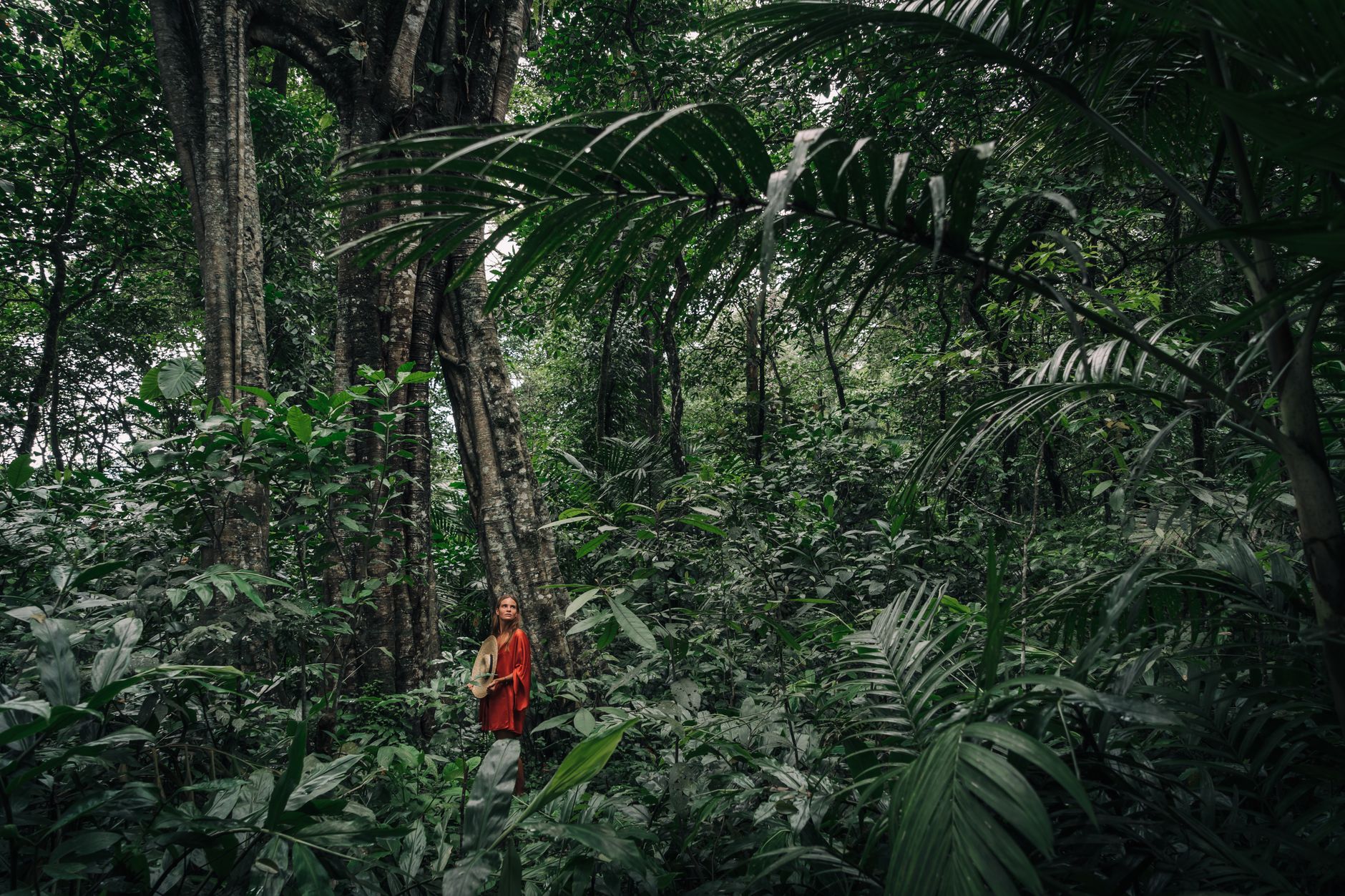 Turistas explorando a natureza brasileira
