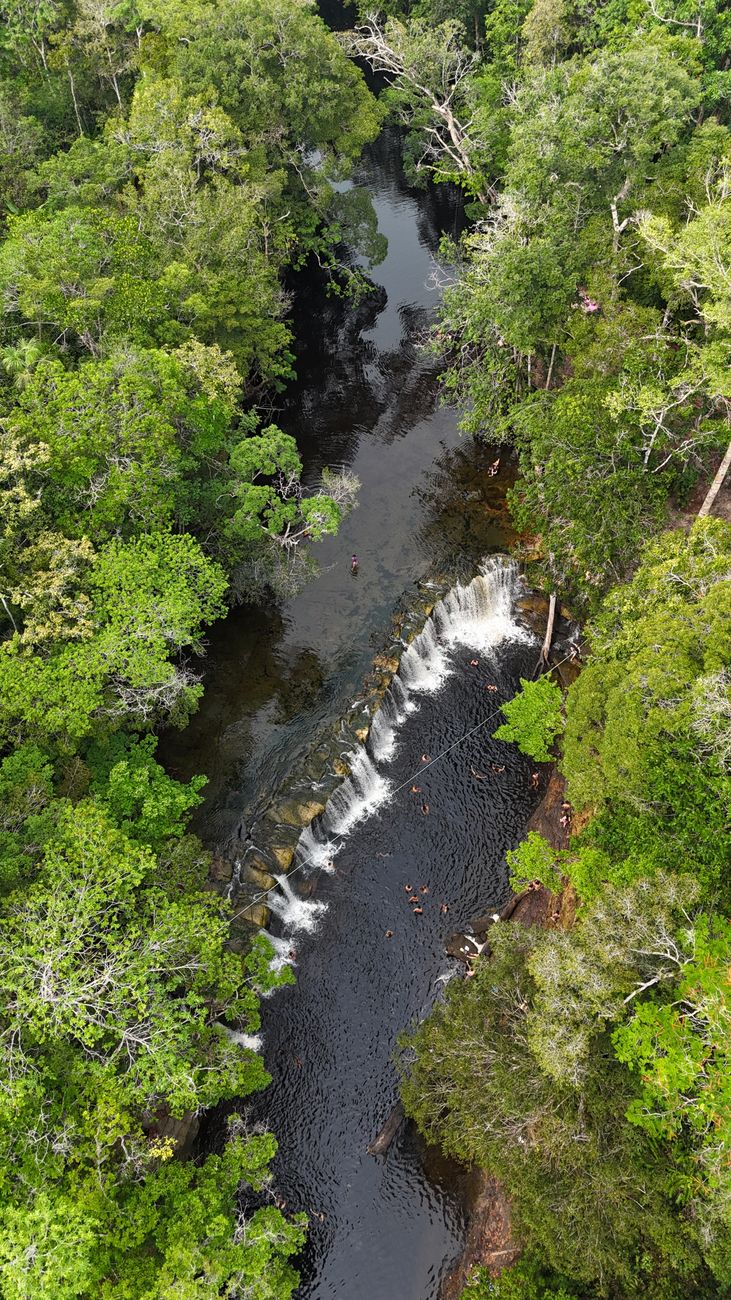 Natureza deslumbrante do Brasil - Quetzal Explora